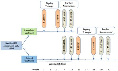 Feasibility, Acceptability, and Preliminary Efficacy of Dignity Therapy in Patients With Early Stage Dementia and Their Family. A Pilot Randomized Controlled Trial